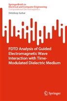 Debdeep Sarkar - FDTD Analysis of Guided Electromagnetic Wave Interaction with Time-Modulated Dielectric Medium