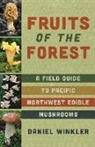 Daniel Winkler - Fruits of the Forest
