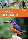 Susan Myers, MYERS SUSAN, Carlos Bocos Gonzalez, Liew Weng Keong - Birds of Borneo
