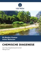 M Madan Kumar, M. Madan Kumar, M.Madan Kumar, Usha Natesan - CHEMISCHE DIAGENESE