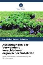 Luz Mabel Bernal Arévalos - Auswirkungen der Verwendung verschiedener organischer Substrate