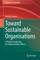 Rodrigo Lozano - Toward Sustainable Organisations