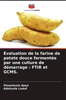 Oluwatosin Ajayi, Adekunle Lawal - Évaluation de la farine de patate douce fermentée par une culture de démarrage : FTIR et GCMS.