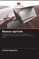 Cecilia Augustino - Réseau agricole