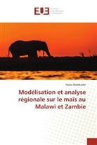 Nada Abdelkader - Modélisation et analyse régionale sur le maïs au Malawi et Zambie