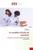 Cheikh Fam, Aly Tandian - Le modèle d'école en question