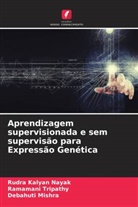 Rudra Kalyan Nayak, Debahuti Mishra, Ramamani Tripathy - Aprendizagem supervisionada e sem supervisão para Expressão Genética