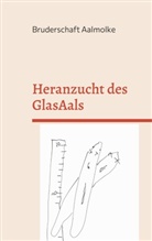 Bruderschaft Aalmolke - Heranzucht des GlasAals