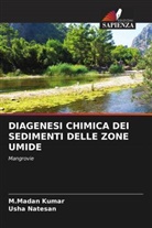 M. Madan Kumar, M.Madan Kumar, Usha Natesan - DIAGENESI CHIMICA DEI SEDIMENTI DELLE ZONE UMIDE