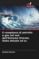 Anatoli Kachur, Gennady Skrylnik - Il complesso di petrolio e gas nel sud dell'Estremo Oriente. Stato attuale ed ec