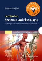 Shahrouz Porjalali - Lernkarten Anatomie und Physiologie