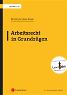 Wolfgang Brodil, Martin Gruber-Risak - Arbeitsrecht in Grundzügen