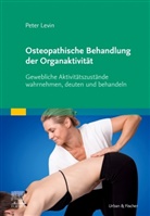 Peter Levin - Osteopathische Behandlung der Organaktivität