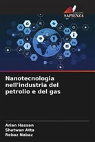 Shatwan Atta, Arian Hassan, Rebaz Nabaz - Nanotecnologia nell'industria del petrolio e del gas