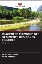 M. Madan Kumar, M.Madan Kumar, Usha Natesan - DIAGENÈSE CHIMIQUE DES SÉDIMENTS DES ZONES HUMIDES