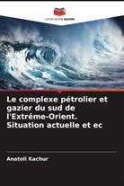 Anatoli Kachur, Gennady Skrylnik - Le complexe pétrolier et gazier du sud de l'Extrême-Orient. Situation actuelle et ec