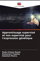 Rudra Kalyan Nayak, Debahuti Mishra, Ramamani Tripathy - Apprentissage supervisé et non supervisé pour l'expression génétique