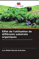 Luz Mabel Bernal Arévalos - Effet de l'utilisation de différents substrats organiques