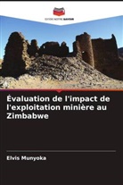 Elvis Munyoka - Évaluation de l'impact de l'exploitation minière au Zimbabwe