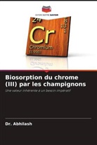 Abhilash, Dr. Abhilash, Kirtal Hansdah, Mr.Kirtal Hansdah, B D Pandey, Dr.B D Pandey - Biosorption du chrome (III) par les champignons