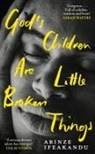 Arinze Ifeakandu - God's Children Are Little Broken Things