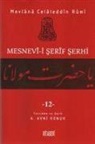 Mevlana Celaleddin Rumi - Mesnevi-i Serif Serhi Cilt 12