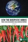 Fred Spier - How the Biosphere Works