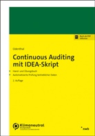 Roger Odenthal - Continuous Auditing mit IDEA-Skript