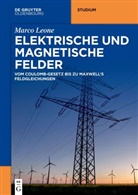 Marco Leone - Elektrische und magnetische Felder