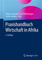 Stefan Liebing, Kay Pfaffenberger, Thomas Schmidt - Praxishandbuch Wirtschaft in Afrika