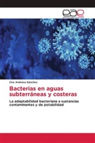 Ciro Andraca Sánchez - Bacterias en aguas subterráneas y costeras