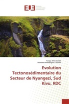 Manawa Ambangito Claudio, Faraja Amri Gentil - Evolution Tectonosédimentaire du Secteur de Nyangezi, Sud Kivu, RDC