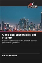 Bachir Kerboua - Gestione sostenibile del rischio