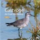 Edgar Schonart - Gastvögel der Insel Spiekeroog 02