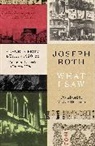 Joseph Roth - What I Saw