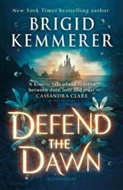 Brigid Kemmerer, Kemmerer Brigid - Defend the Dawn