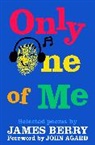 James Berry, Berry James - Only One of Me