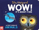 Tim Hopgood, Hopgood Tim - WOW! It's Night-Time