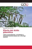 Sebastián Cano Serrano - Efecto del ácido giberélico