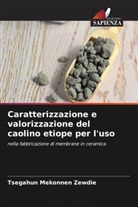 Tsegahun Mekonnen Zewdie - Caratterizzazione e valorizzazione del caolino etiope per l'uso