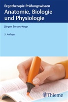 Jürgen Zervos-Kopp - Anatomie, Biologie und Physiologie