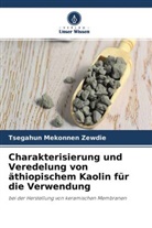 Tsegahun Mekonnen Zewdie - Charakterisierung und Veredelung von äthiopischem Kaolin für die Verwendung