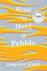 Jaspreet Singh, Jaspreet Singh - HOW TO HOLD A PEBBLE