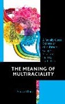 Aurora Chang - Meaning of Multiraciality