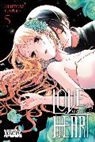 Chitose Kaido, Christie Phil, Chitose Kaido, Alethea Nibley, Athena Nibley - Love and Heart, Vol. 5