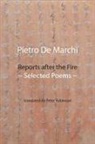 Pietro De Marchi - Reports after the Fire
