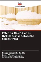 Javed Ahmed Naqash, Avuthu Narender Reddy, Panga Narasimha Reddy - Effet du NaNO2 et du K2CO3 sur le béton par temps froid