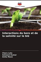 Ashwani Kumar, Charu Lata, Anita Mann - Interactions du bore et de la salinité sur le blé