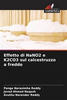 Javed Ahmed Naqash, Avuthu Narender Reddy, Panga Narasimha Reddy - Effetto di NaNO2 e K2CO3 sul calcestruzzo a freddo