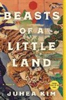Juhea Kim - Beasts of a Little Land